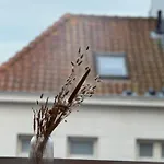 Luxury 3 Bedroom On The Floor With Panoramic View *