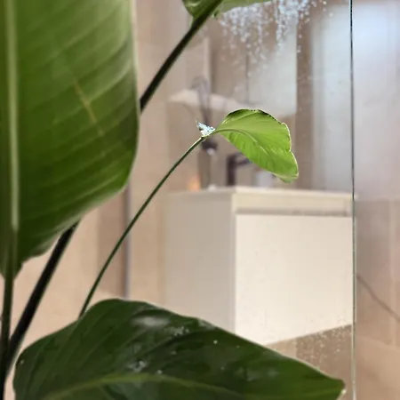 公寓 Luxury 3 Bedroom On The Floor With Panoramic View *