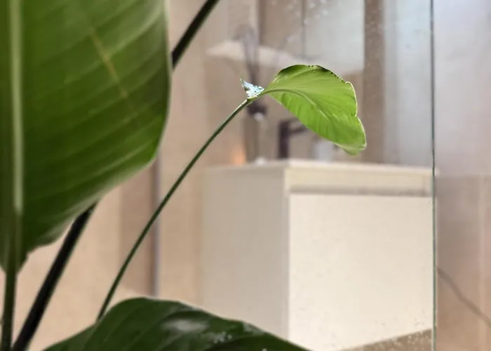 公寓 Luxury 3 Bedroom On The Floor With Panoramic View *